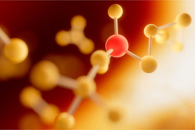 L-Arginine