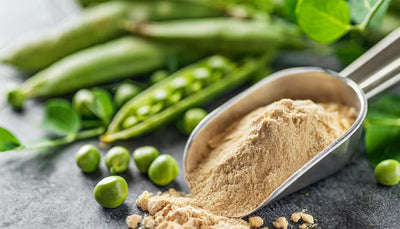Pea Protein