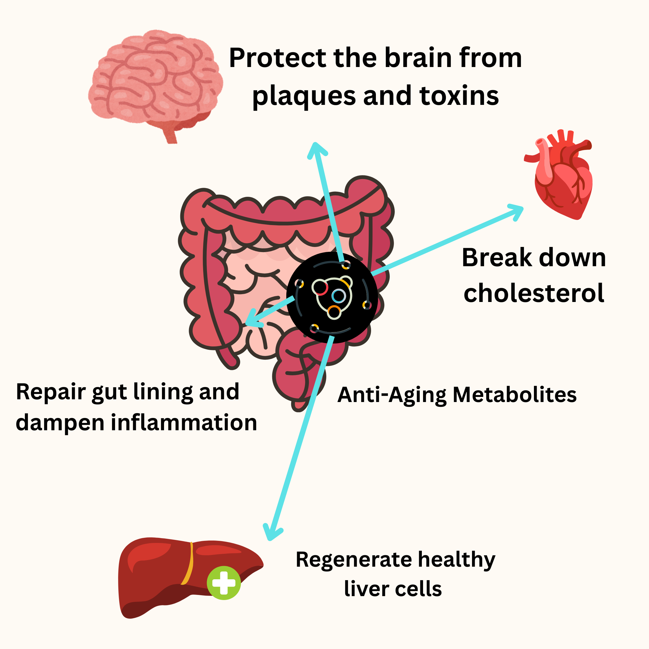 Main Infographic